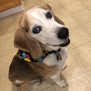 Fundraising Page: Rosalyn Mendoza